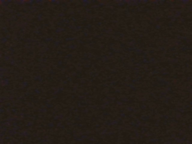 Foto Jentik