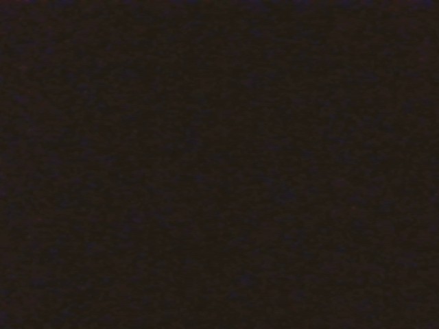 Foto Jentik