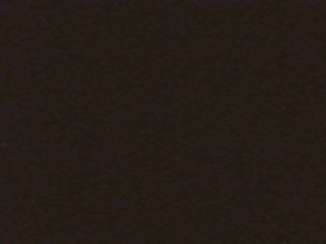 Foto Jentik
