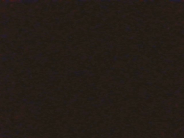 Foto Jentik
