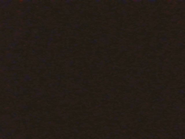 Foto Jentik